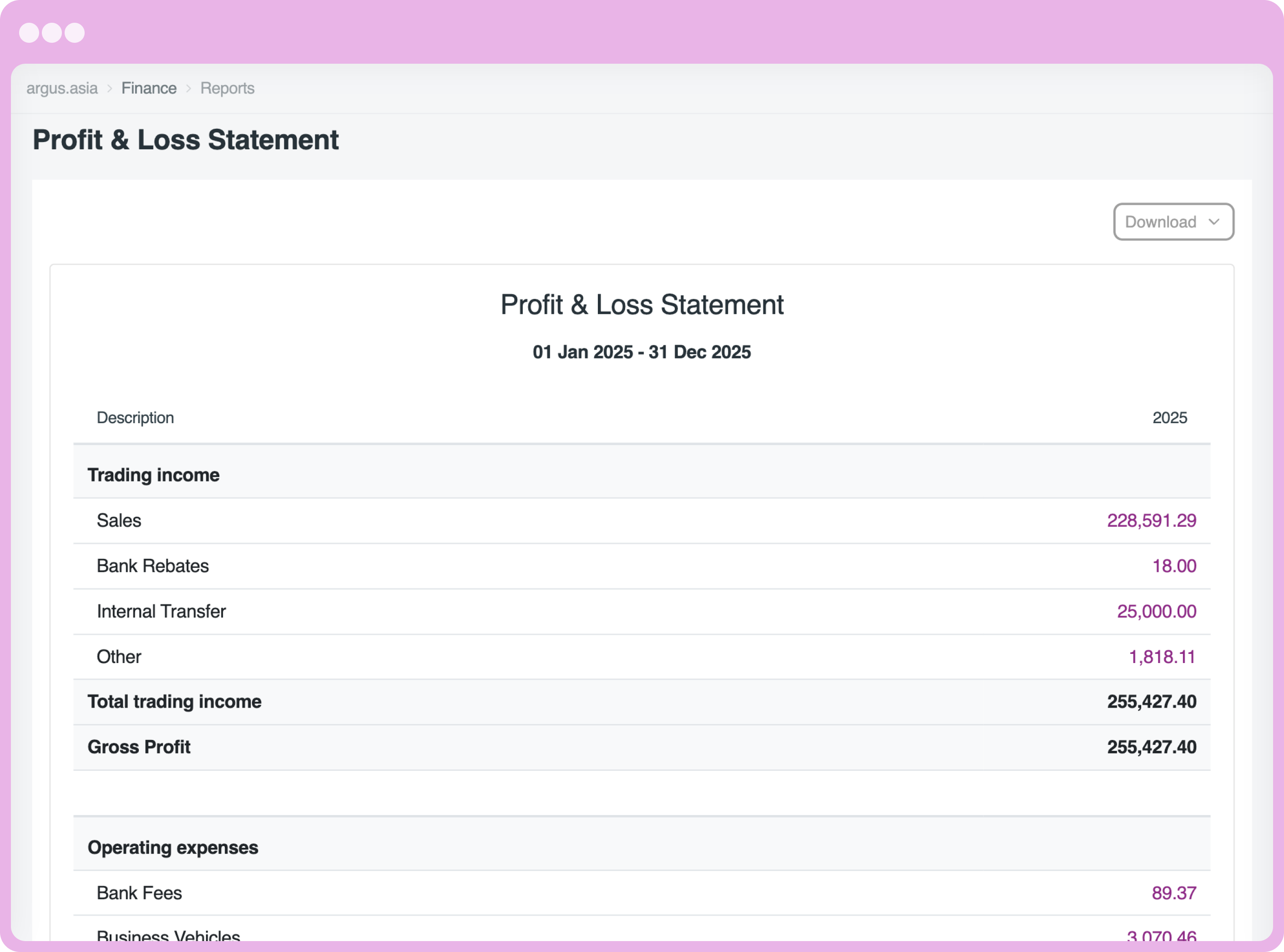 Profit & Loss Statement